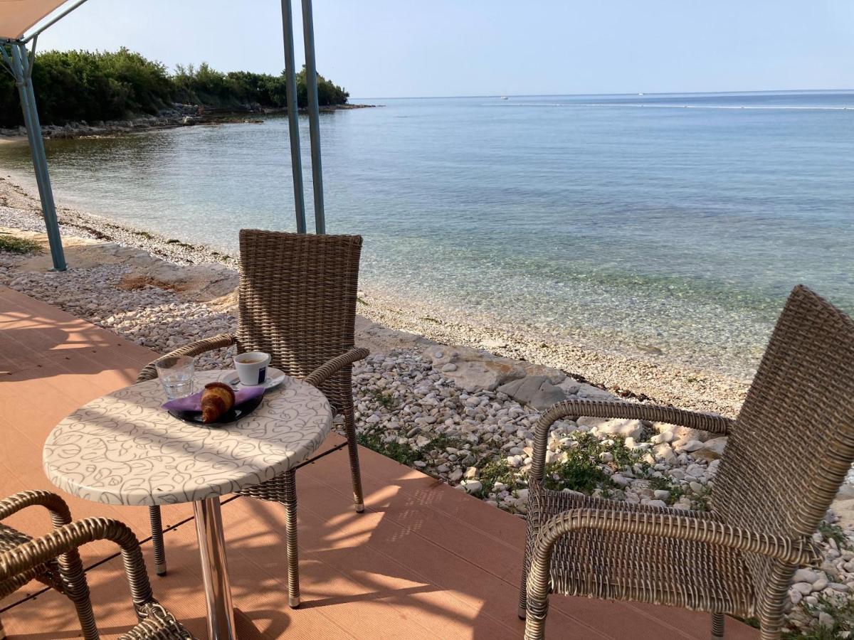 Villa Vienna Novigrad Istria Kültér fotó